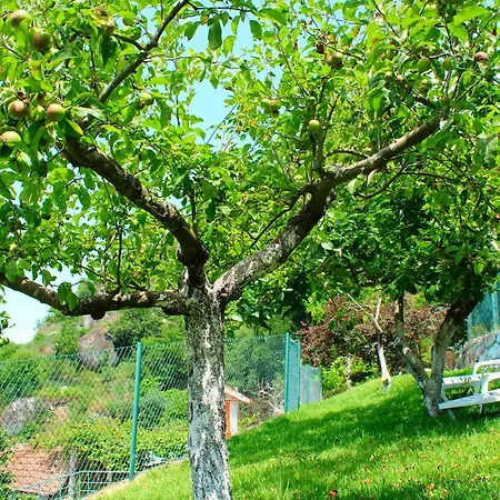 Quinta Encosta Do Marao Country house