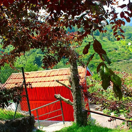 Country house Quinta Encosta Do Marao *