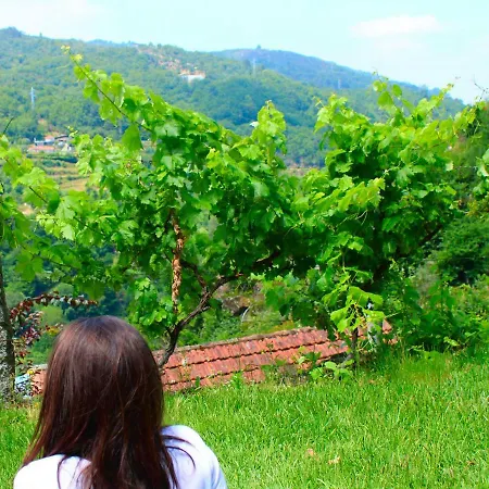 Hétvégi ház Quinta Encosta Do Marao