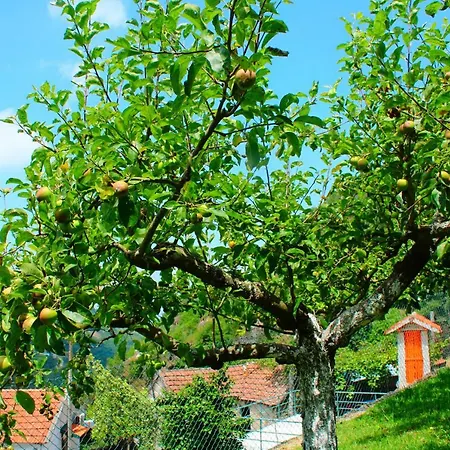 Quinta Encosta Do Marao *