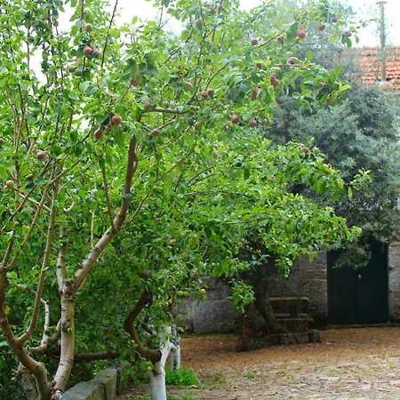 Quinta Encosta Do Marao