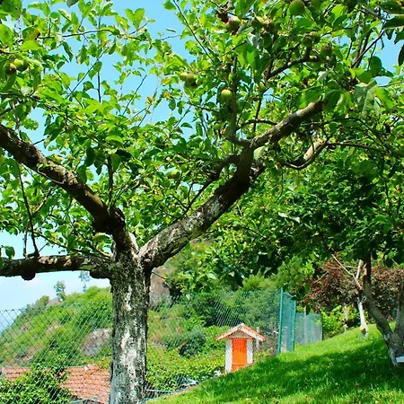 Quinta Encosta Do Marao Country house